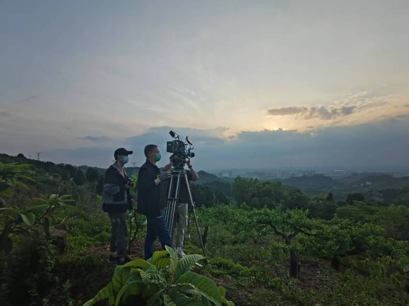 创意破圈！老边区电商产品宣传视频用故事化叙事引爆流量